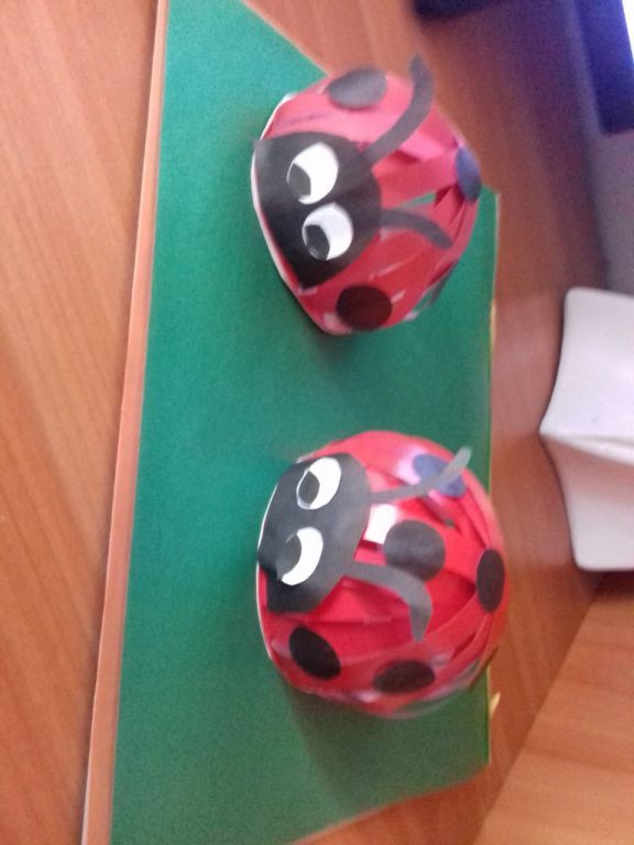 божья кор.jpg